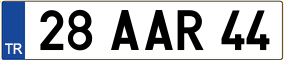 Truck License Plate